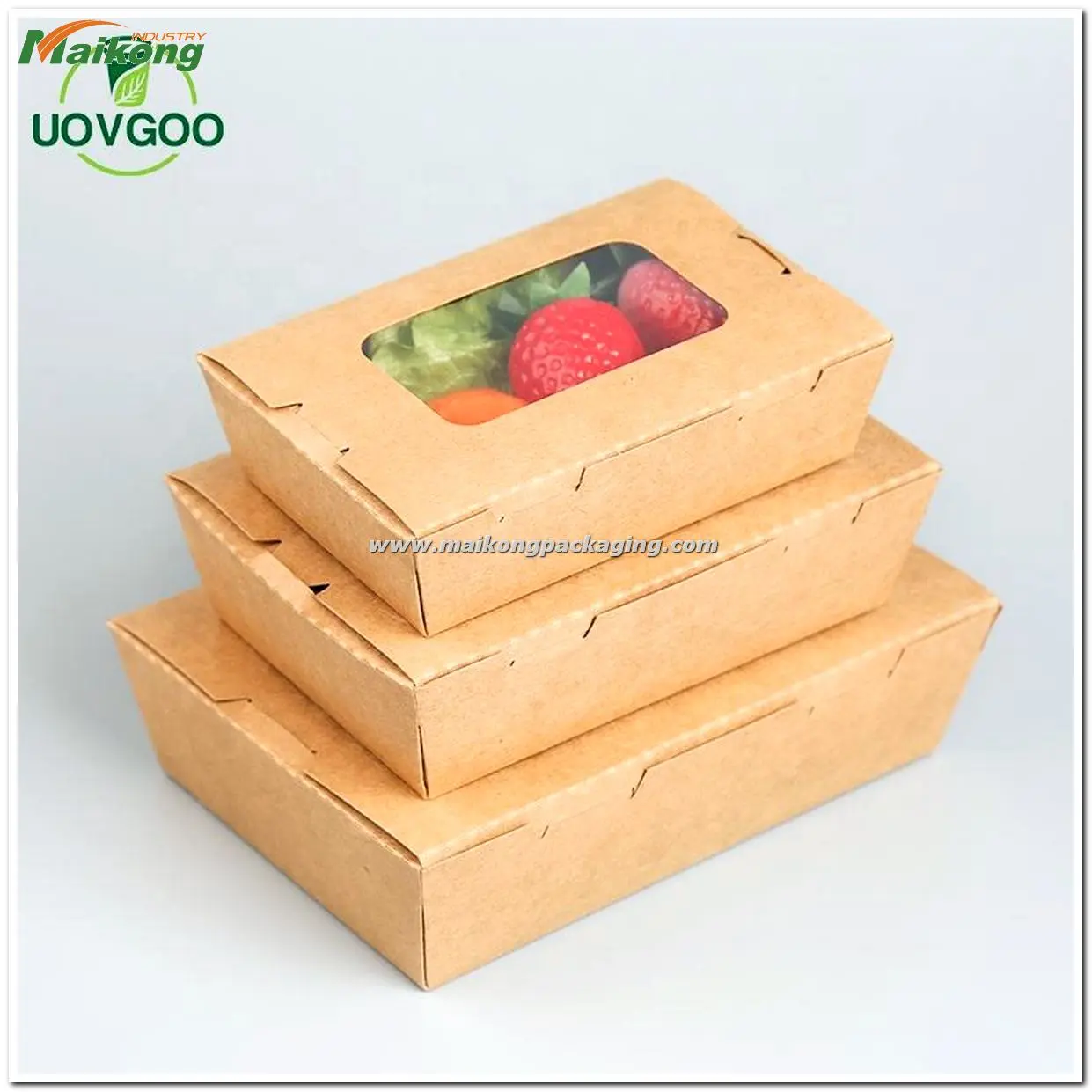 What is Vacuum Packaging in Food Preservation 12